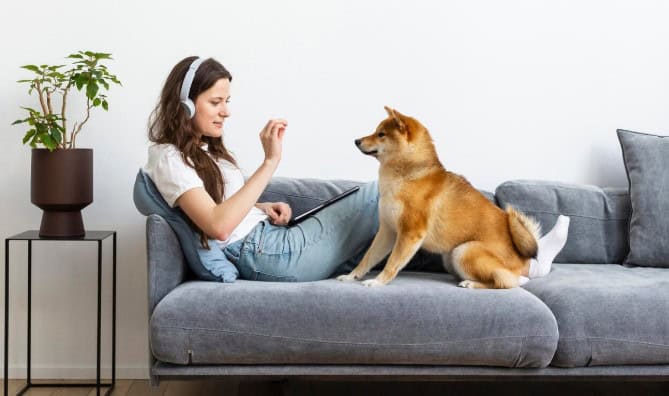 Famílias com Crianças e Pets: Por Que a Higienização do Sofá é Ainda Mais Importante?