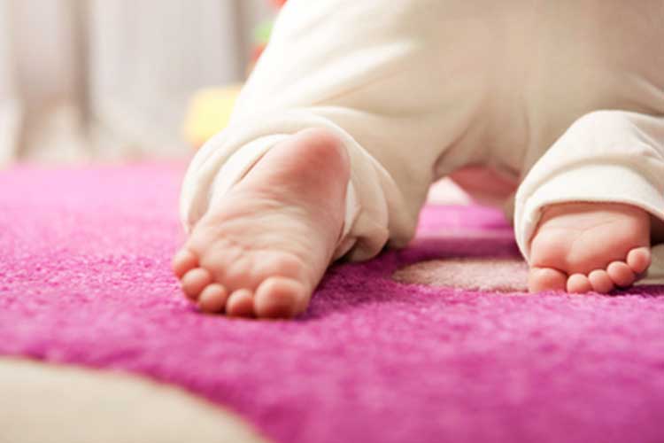Soluções caseiras para limpeza de tapetes e carpetes