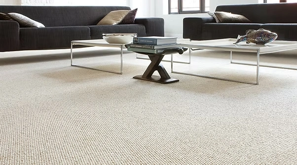 Limpeza de Carpete em Moema – SP