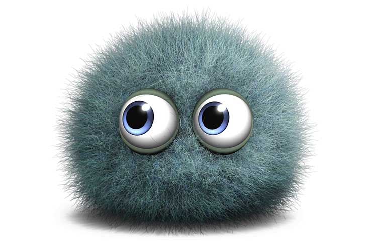 Elimine o Mofo da Sua Casa com Facilidade